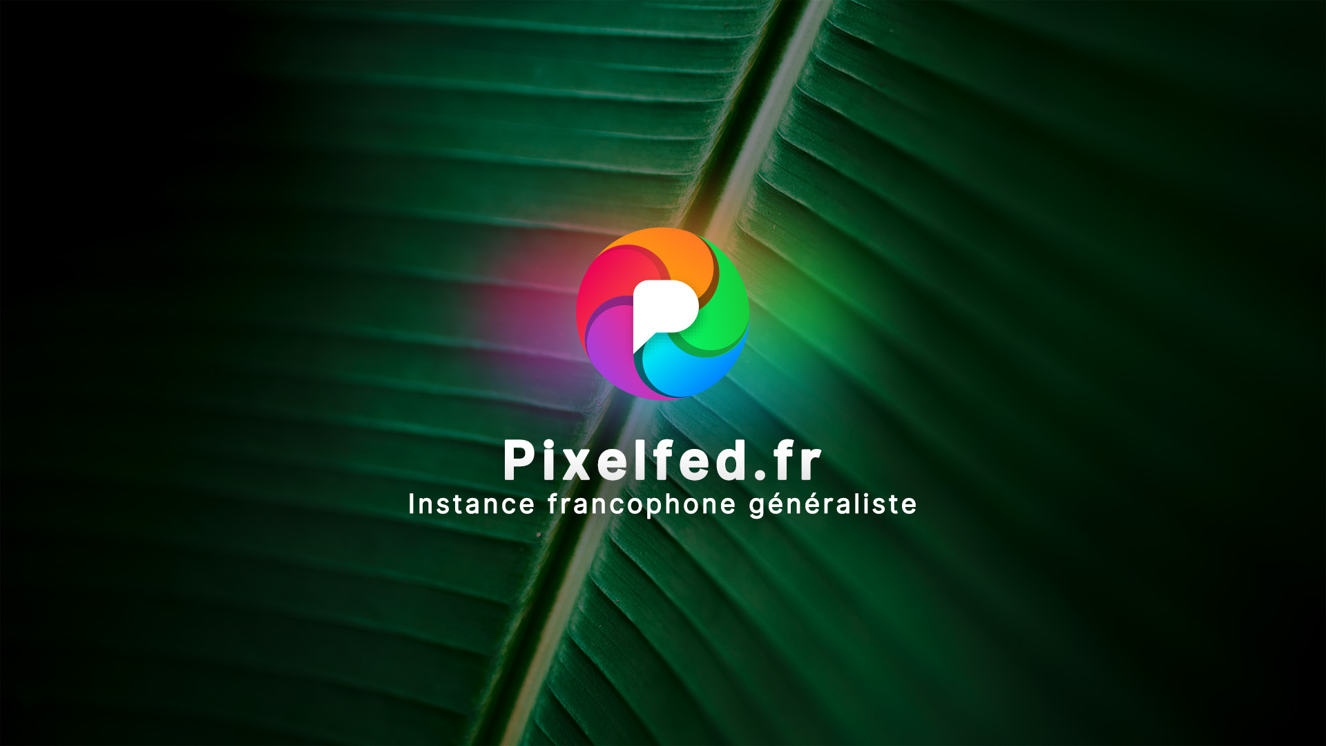 Pixelfed.fr est une plateforme de partage d'images et de vidéos généraliste. Activement modérée.