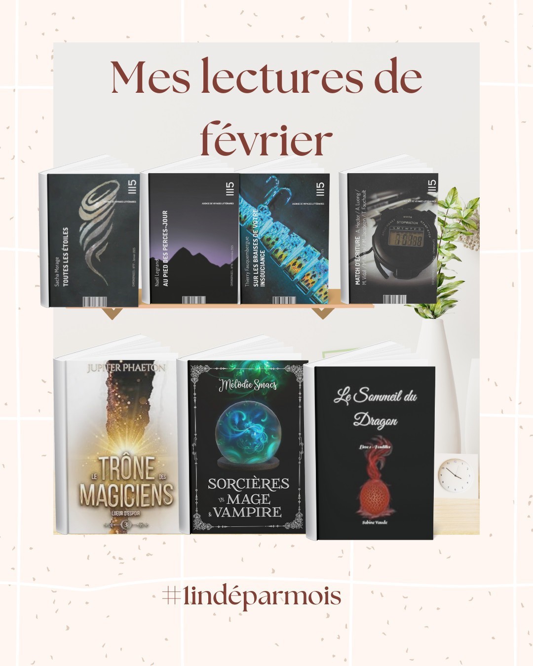 Sur un fond rose, avec une image au centre : un meuble avec un vase, un bouquet et des objets. Plusieurs couvertures de romans sont alignées. Un titre : Mes lecture du mois de février. Un mots dièse : #1IndeParMois.