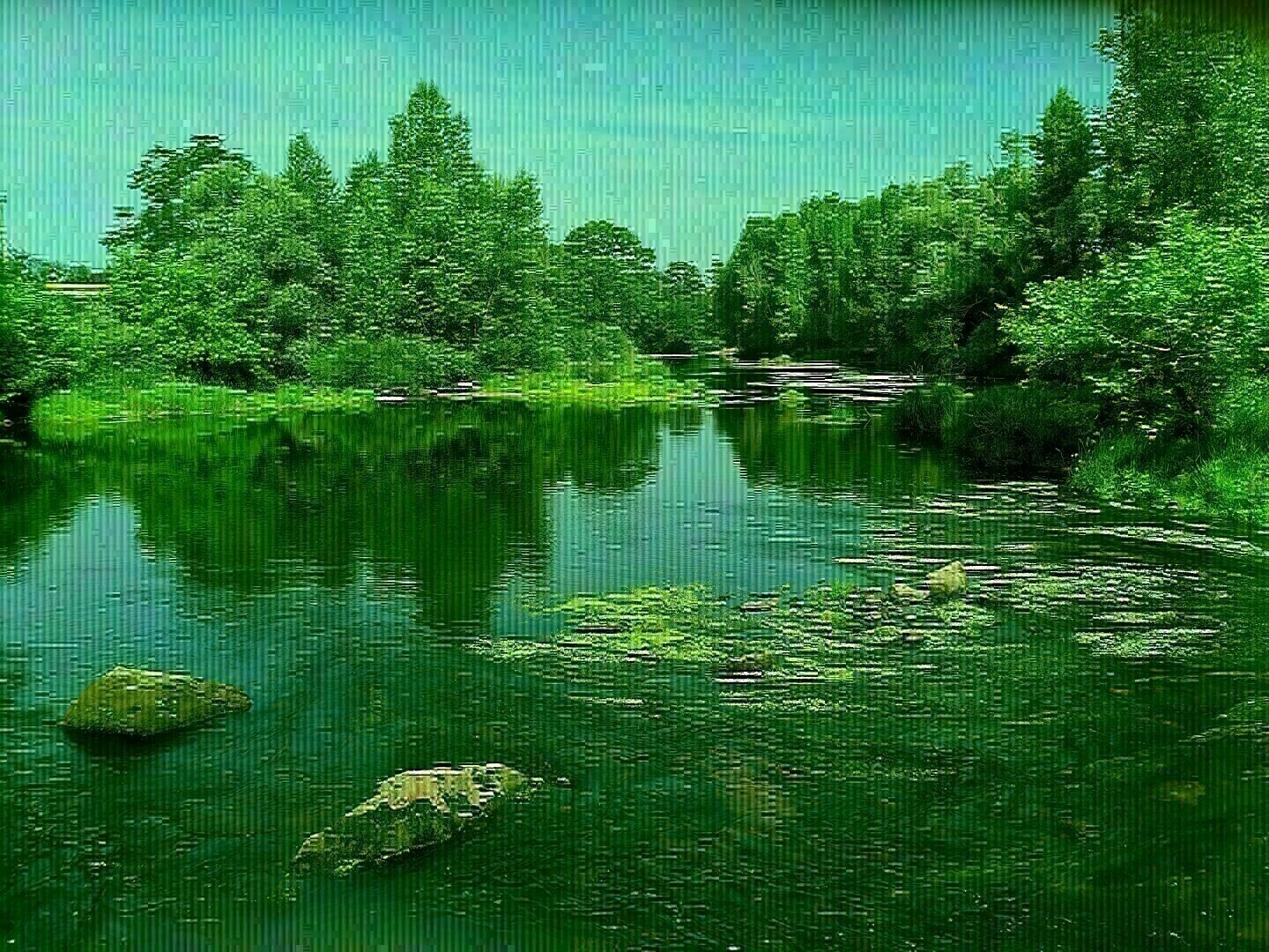 Photo was not tagged with any alt text.