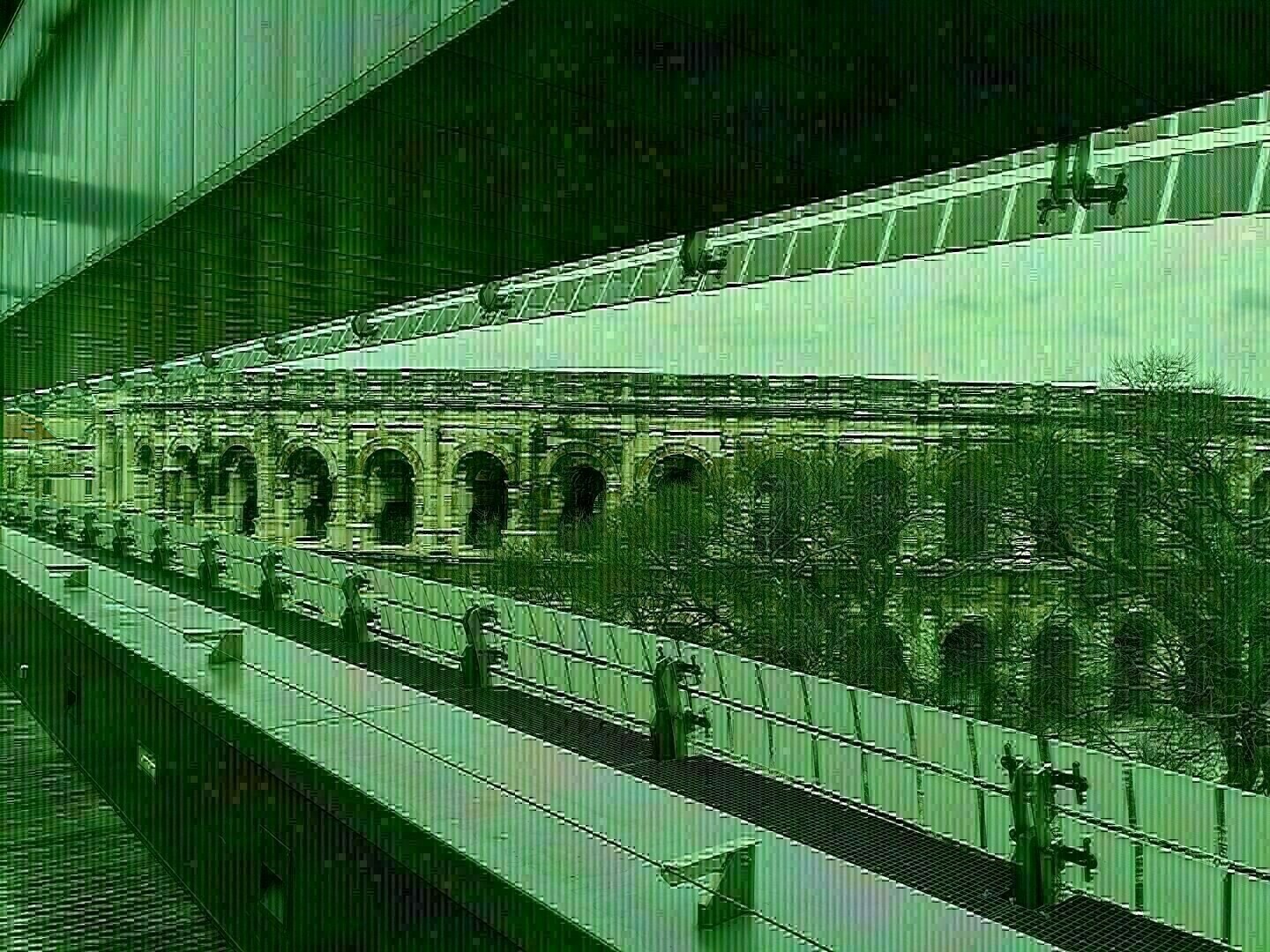Photo was not tagged with any alt text.