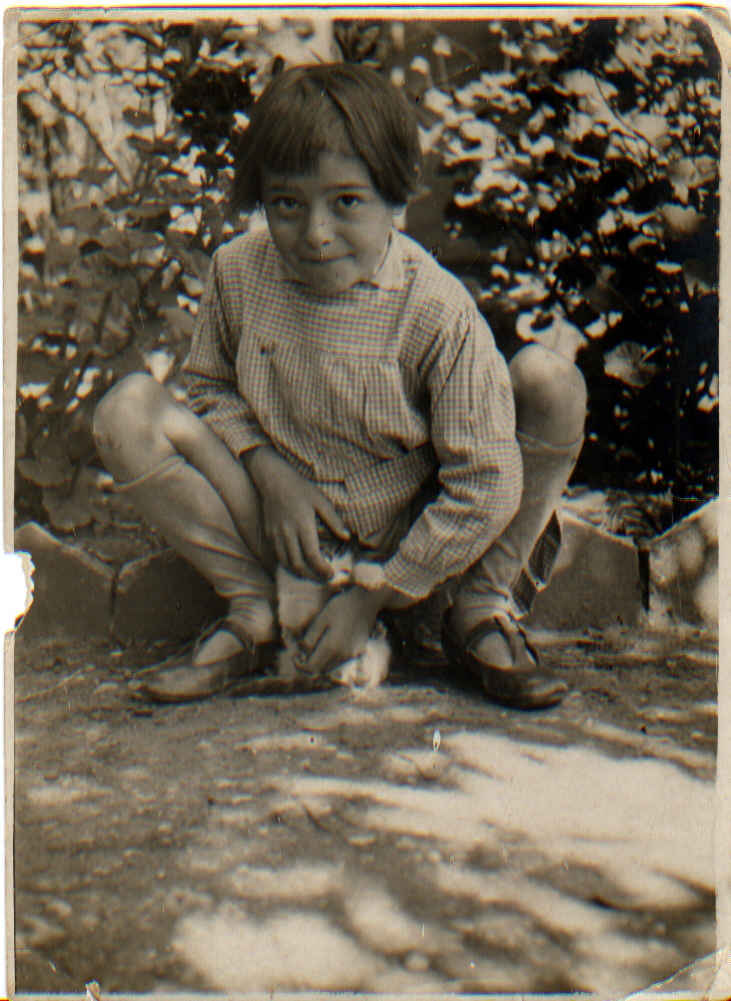 Ancienne photo noir et blanc prise dans les années 1920 (1925 ?)
Dans un jardin, devant un parterre d'arbustes, un petit garçon, les cheveux mi-longs à la Jeanne D'Arc et les yeux rieurs, âgé autour de 7 ans (mon père) est accroupi et regarde l'objectif de la caméra. Il tient un petit chaton assis sur le sol qui semble essayer de téter ses doigts. 
Mon père porte une blouse à carreaux, des sandales et des chaussette hautes.