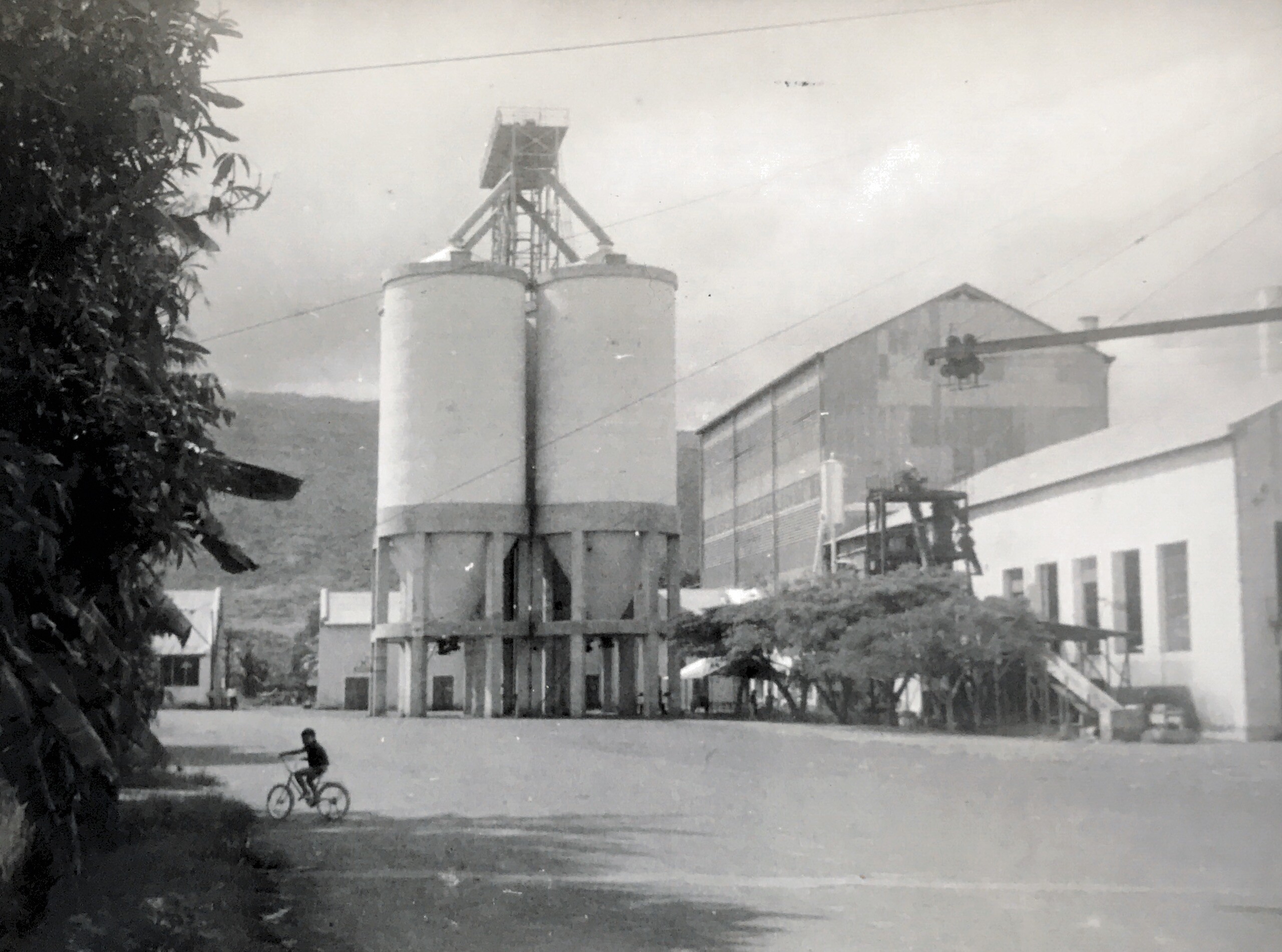 Archives de l'usine de Savanna, Réunion