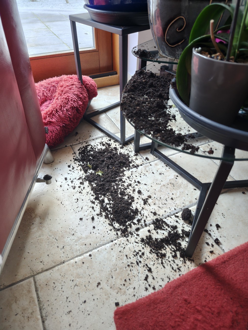 Une photo qui pointe vers le sol, la terre d'un pot d'une plante a été jeté au sol et sur la table.