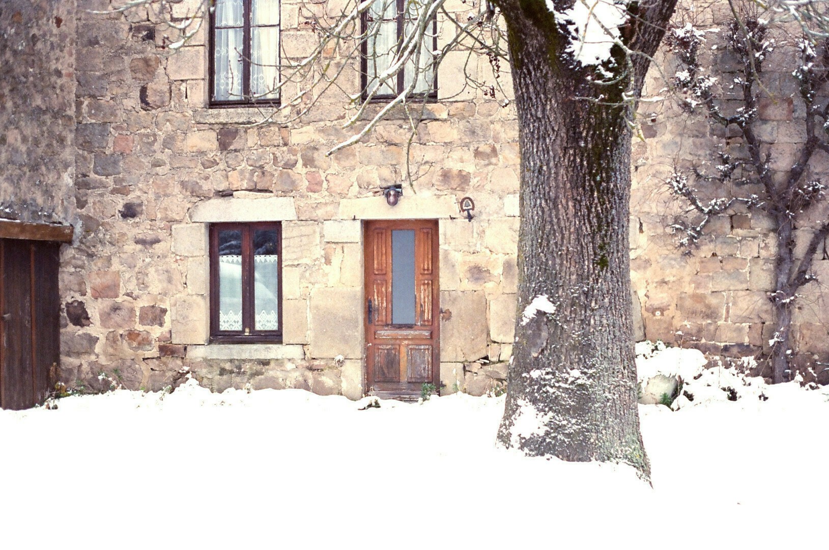 Une porte marron derrière un arbre