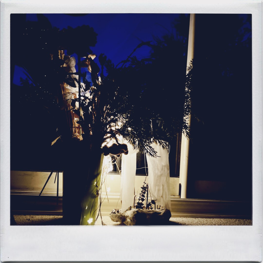 A la fenêtre  : de nuit, guirlande en LED et plante
