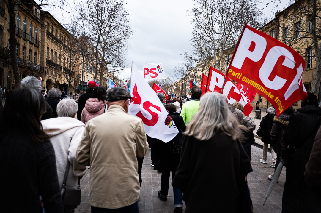 Photo prise dans la manif, on voit des drapeaux PS, PCF, Generations,LFI et palestinien