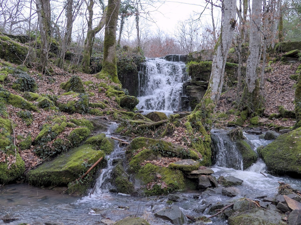 Dans un bois, une cascade bien alimentée par l'eau des pluies, et tout autour des arbres.