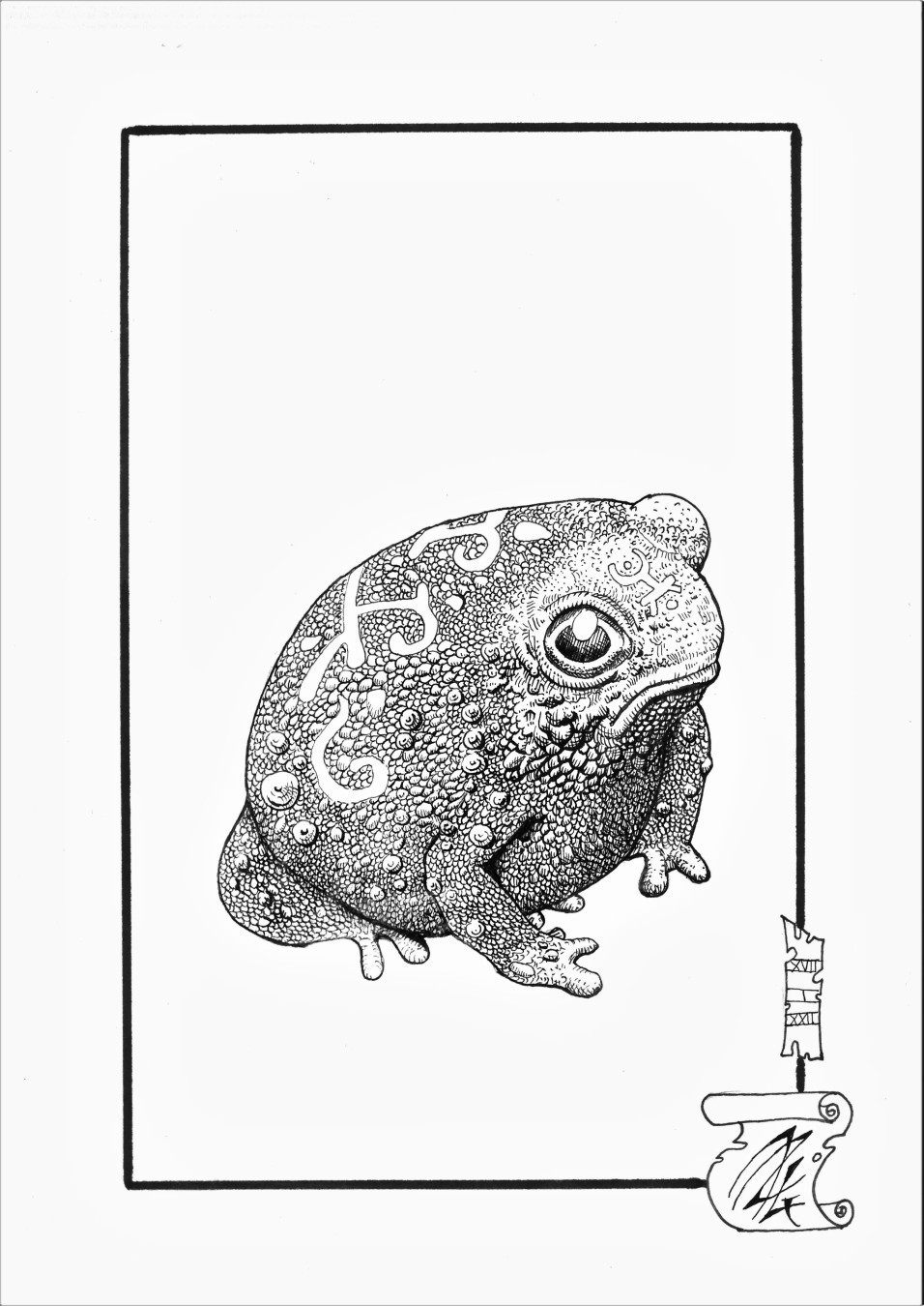 Dessin noir et blanc format A5 d'une petite grenouille, sur son dos des motifs ésotériques apparaissent