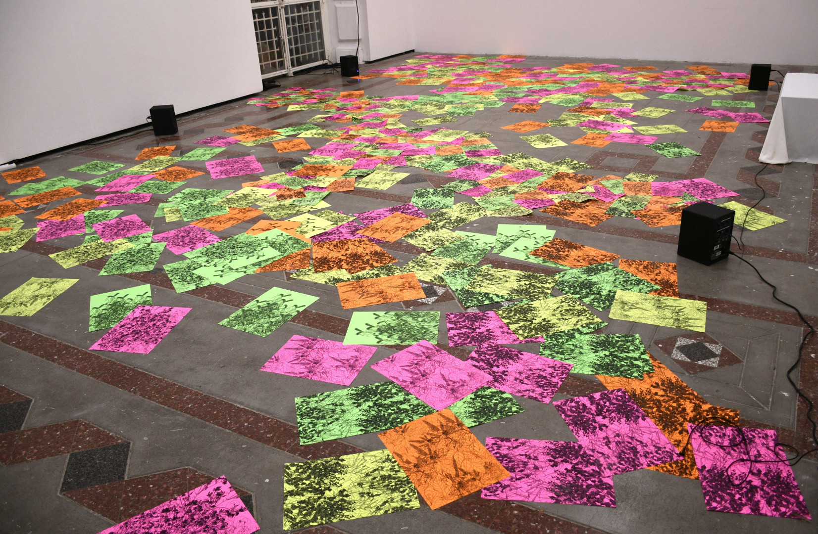 Le sol d'un espace d'exposition aux murs blancs est jonché de dessins au stylo noir représentant des plantes, réalisés sur des feuilles de papier au format A3 rose, jaune, vert et orange fluo. Au angles de la pièce se trouvent quatre enceintes, qui diffusent la bande sonore dont il est question dans le post.