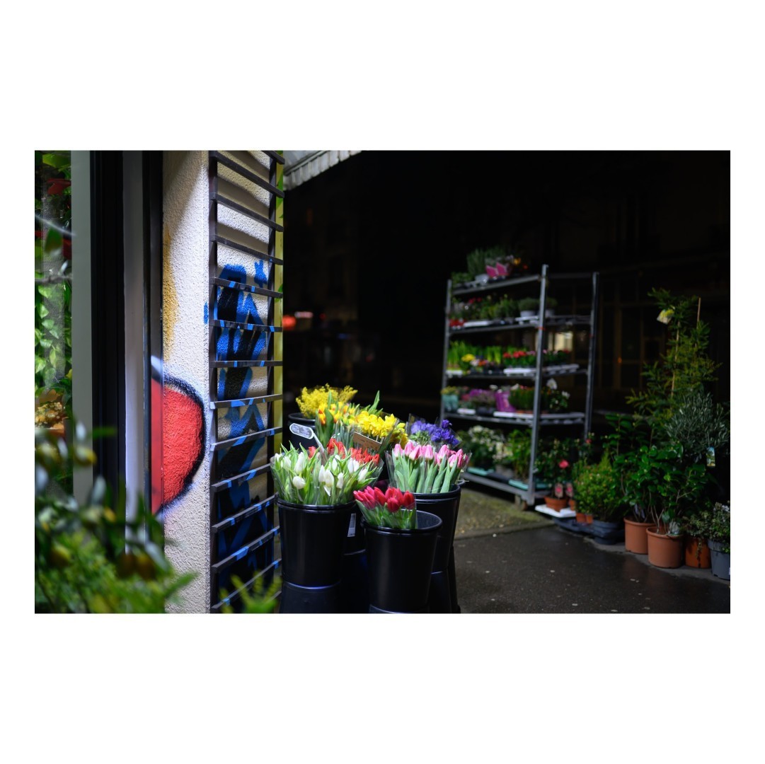 Vitrine et étalage extérieur d'un fleuriste éclairé de nuit. Des bouquets colorés de tulipes, jonquilles et autres fleurs printanières sont disposés dans des seaux noirs, créant un contraste avec l'obscurité de la rue en arrière-plan.