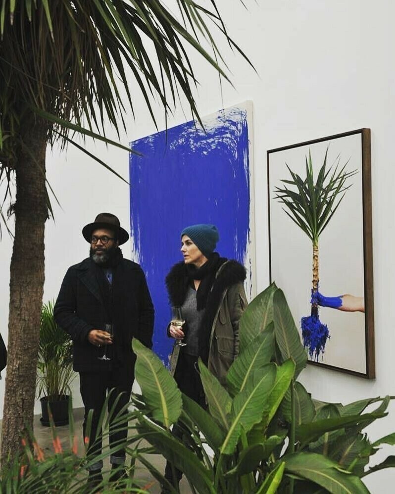 White Cube Jungle at Sexauer Gallery