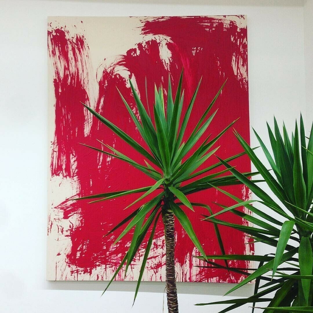 Crimson Reed Palm / Jofroi Amaral
