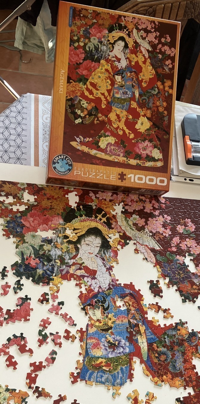 Couvercle de la boîte de puzzle. Puzzle à moitié monté. Description du puzzle sur l’autre photo