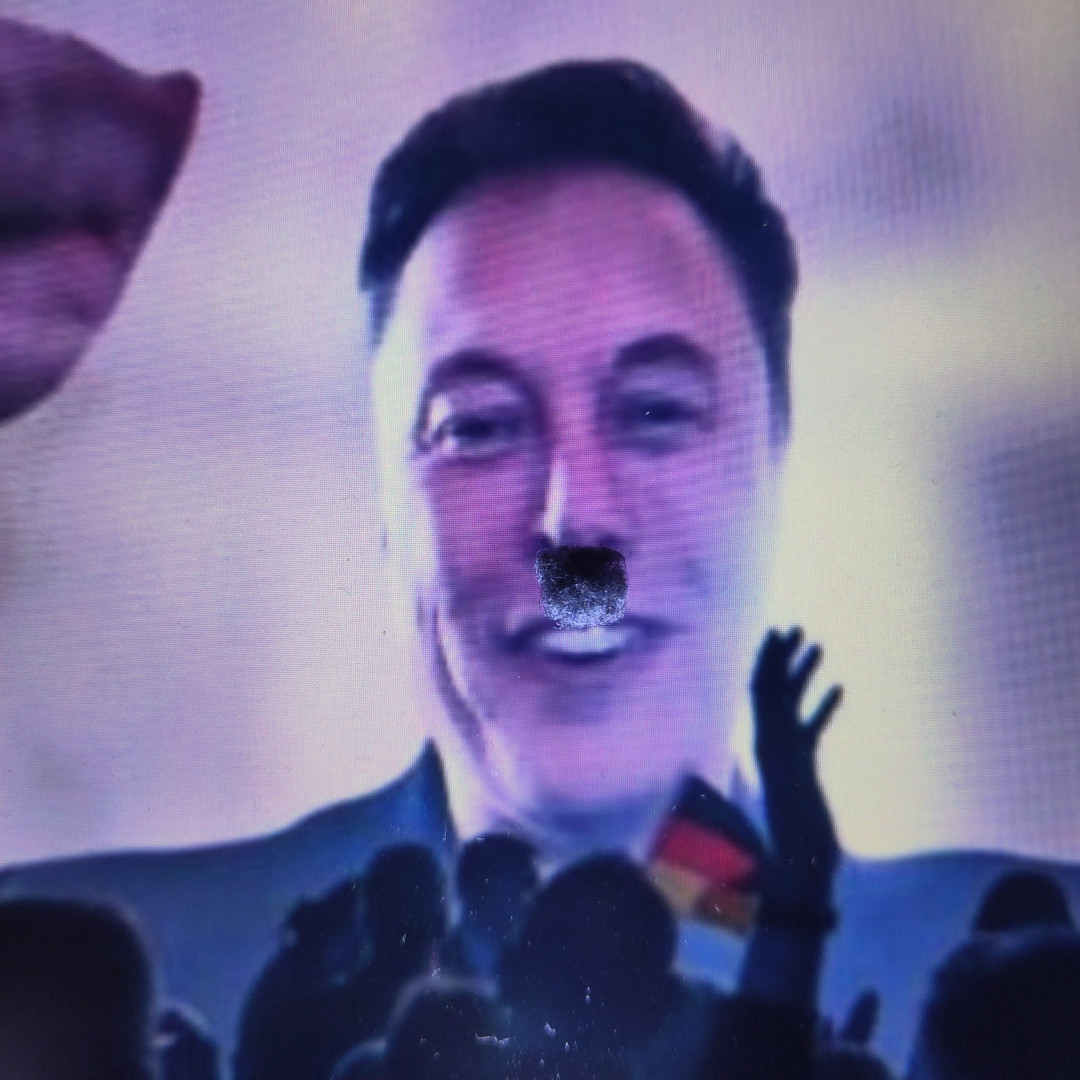 Portrait de Elon Musk projeté sur grand écran devant une foule brandissant des drapeaux allemands. Une peluche de nombril sous son nez lui donne des airs d'Adolf Hitler