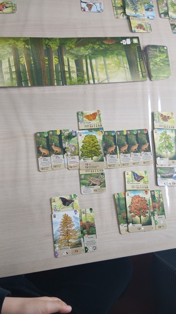 forest shuffle. My son played a seven rabbits combo around one single tree
