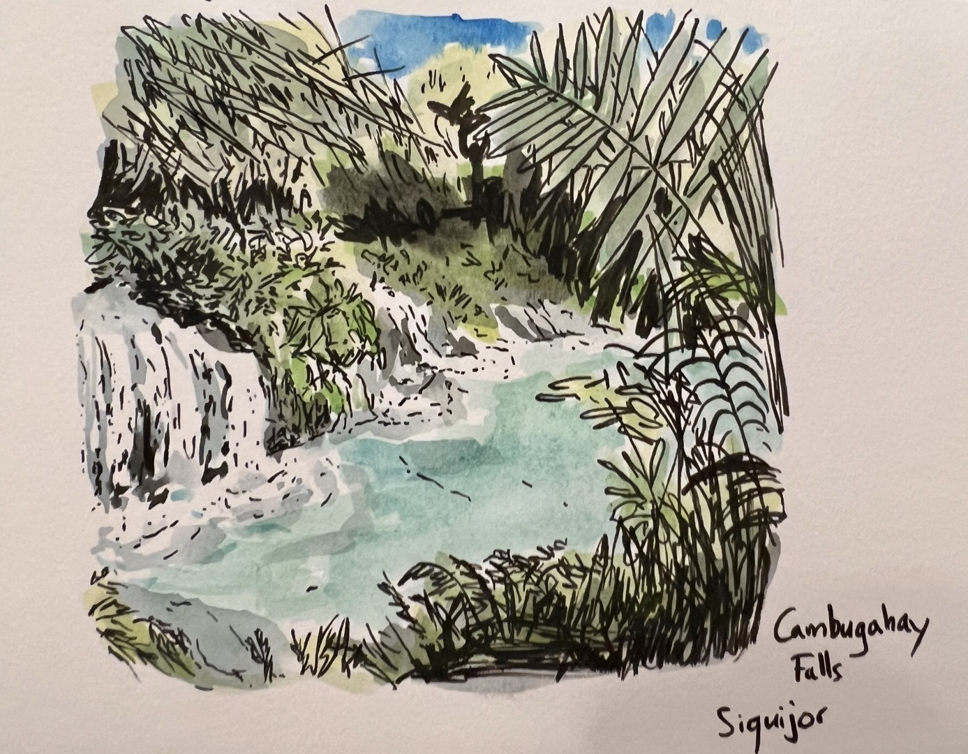 Dessin au feutre noir et à l'aquarelle.
Cascades dans un bassin d'eau turquoise, au beau milieu d'une végétation tropicale luxuriante.