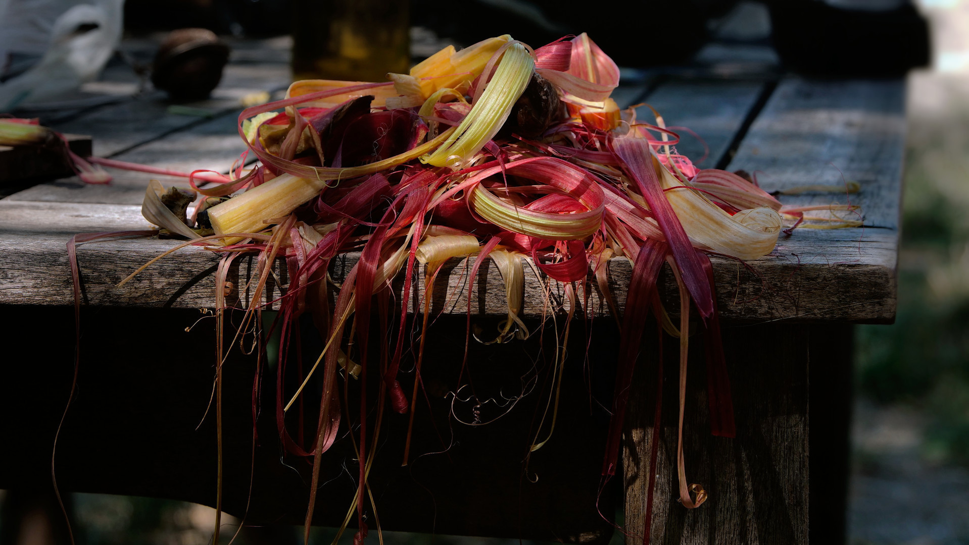 epluchures de ruhbarbe