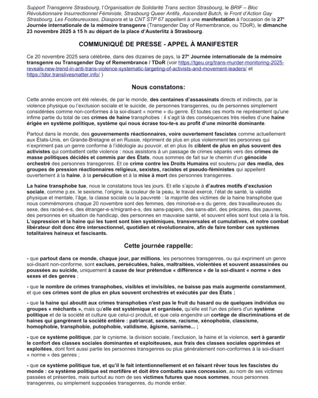 Appel à manifester pour le Trans Day of Rage le 23 novembre 2025 à Strasbourg