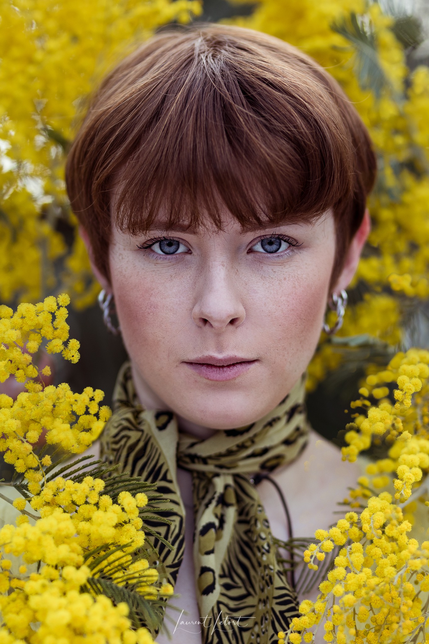 🇫🇷   Portrait d'une femme à la chevelure rousse aux yeux bleus avec des taches de rousseurs, portant un foulard vert, entourée de fleurs de mimosa.
🇬🇧   Portrait of a red-haired woman with freckled blue eyes, wearing a green scarf and surrounded by mimosa flowers.