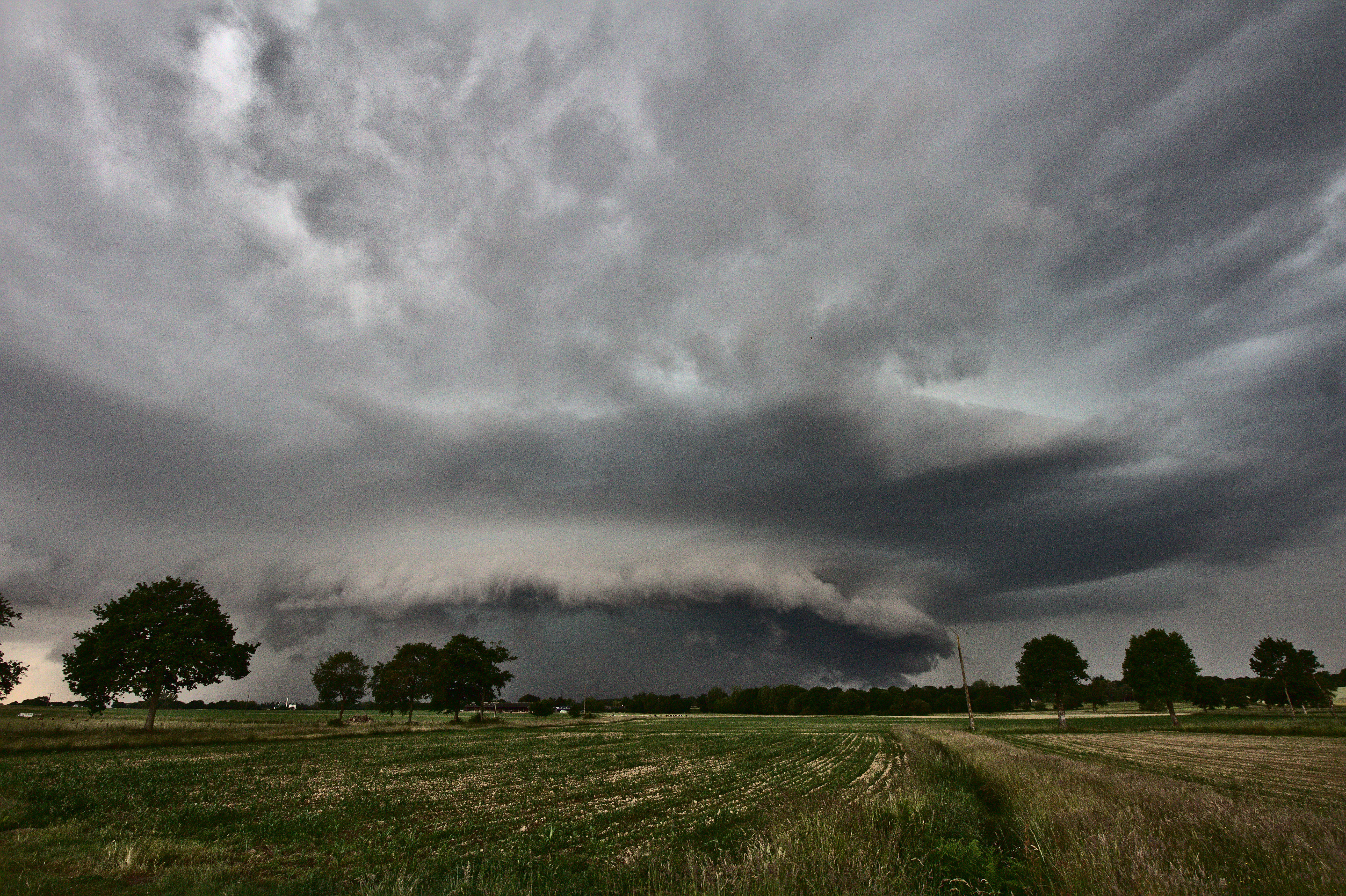 Photo de champs en pousse bordés d'arbres, surplombés à l'horizon par un nuage très structuré en forme d'assiette retournée, caractéristique d'une supercellule orageuse. Sous ce nuage, l'atmosphère est opaque à cause des précipitations intenses.