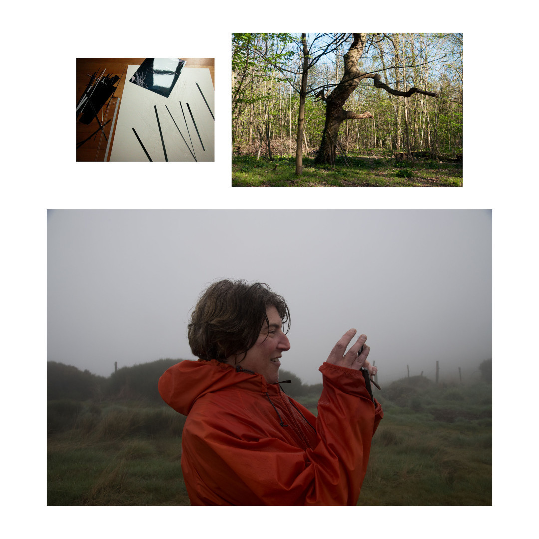 2005, Fontenay-sous-Bois, 2015 Bois de Vincennes, 2025, Marina Déak à La Garde de Dieu