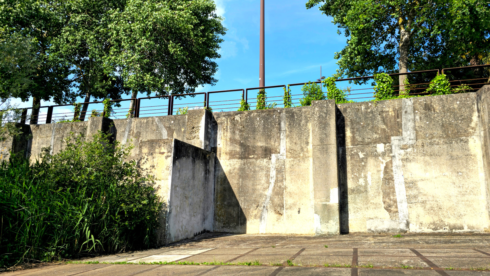 Les plus hauts mûrs de la calle (3 à 4 metre de haut)